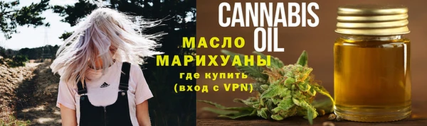 дмт Алексин