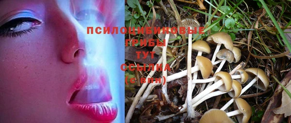 гашиш Алзамай
