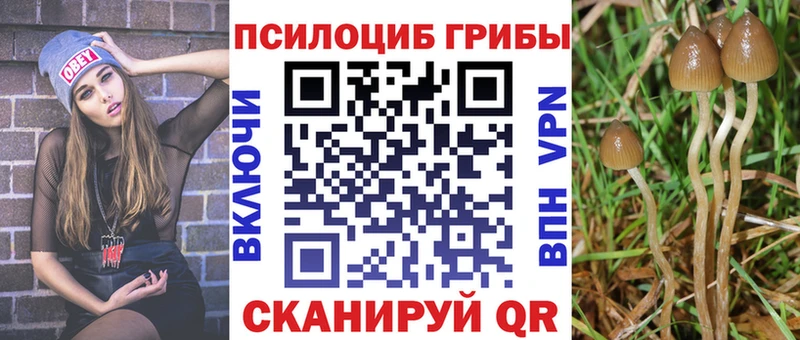 Галлюциногенные грибы мухоморы  цена   Ирбит 